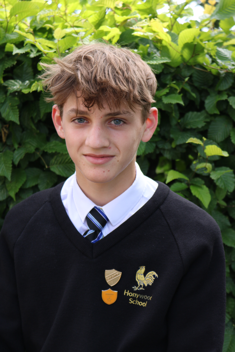 Honywood School Learner Leadership